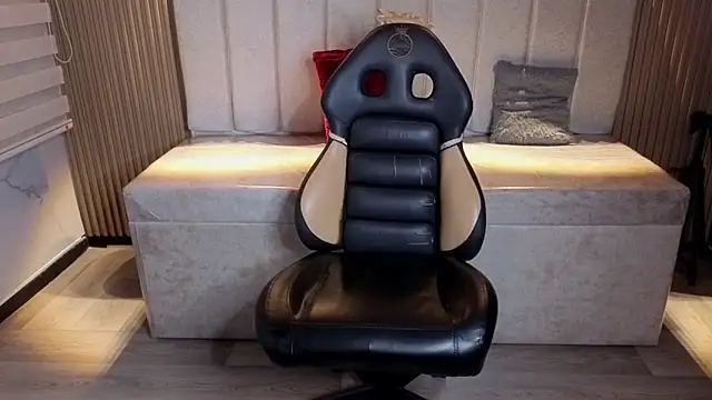 Sweet_cat_t webcam