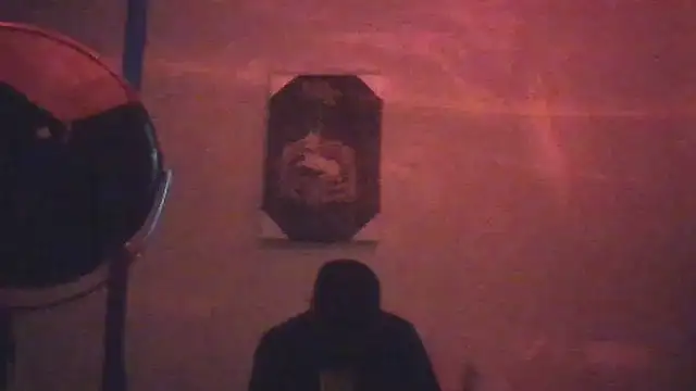 hailzeffn webcam