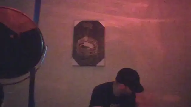 hailzeffn webcam