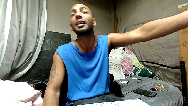 Camodick webcam