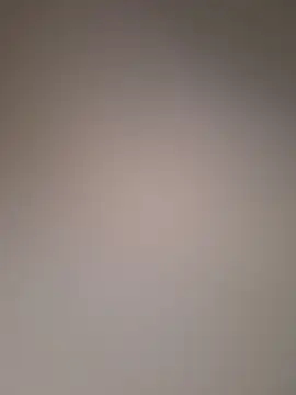 minnetird webcam