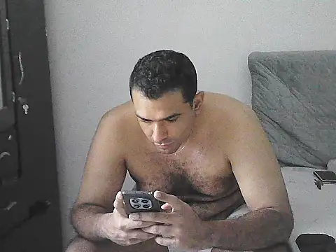 IronSideBear webcam