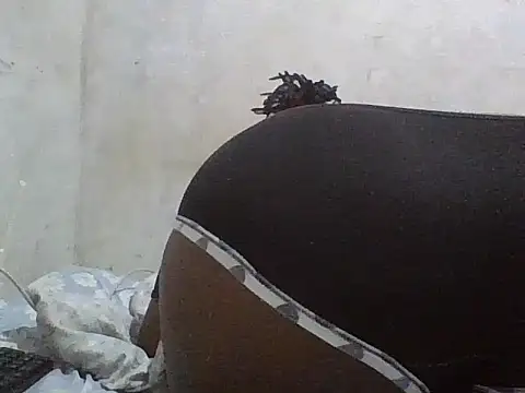 Sweet-Berryyl webcam