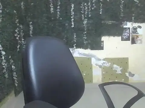 shallykaur webcam