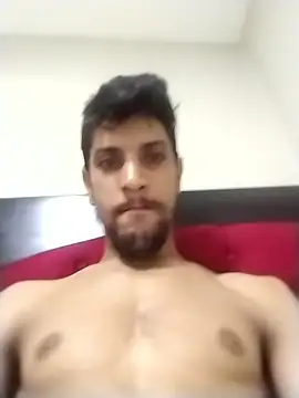 Fayselhot webcam