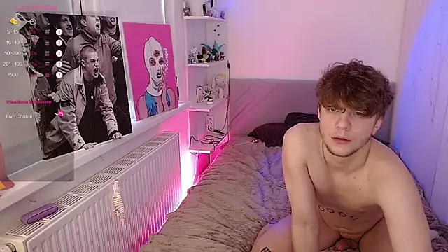 soalice webcam