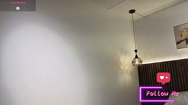 dulcetorresvg webcam
