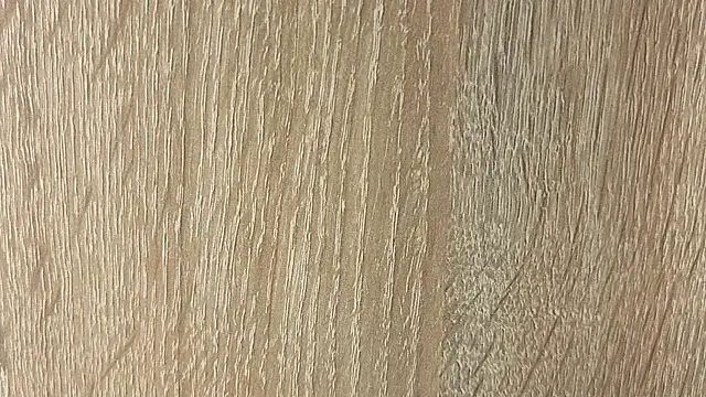 NoFace_Model webcam