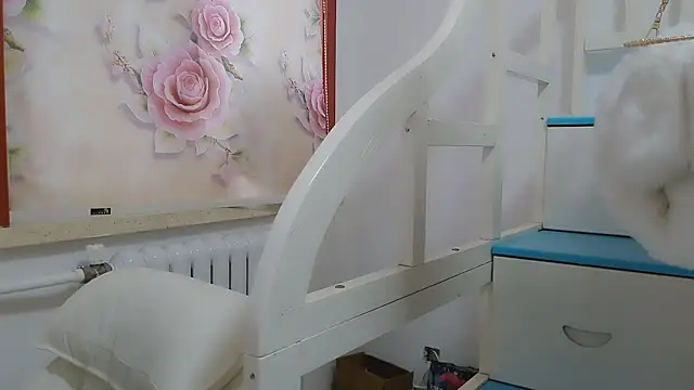 jingjingxiang-5