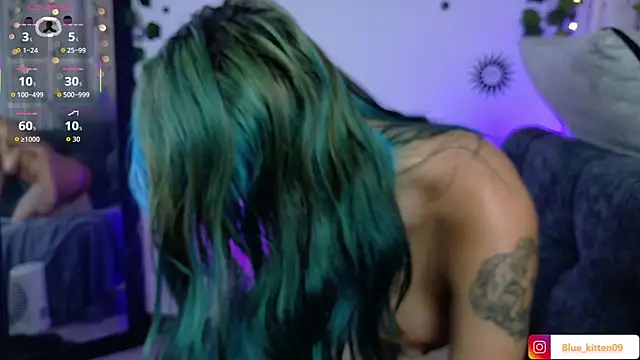 blue_kitten webcam