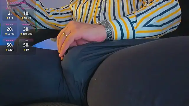 BulgeArt webcam