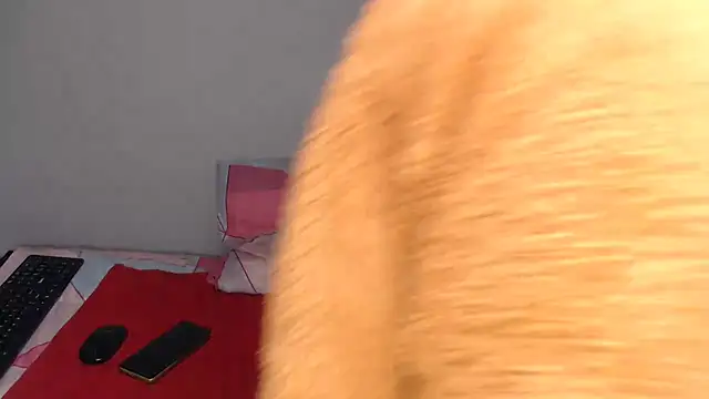 liztaylor webcam
