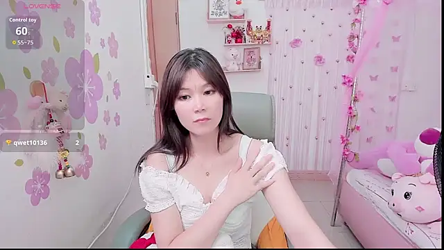 Stylec66 webcam
