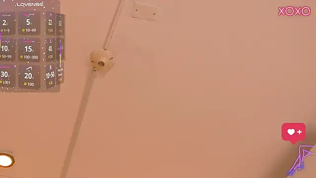 MoliBunny webcam