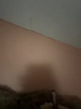 BunnyYT webcam