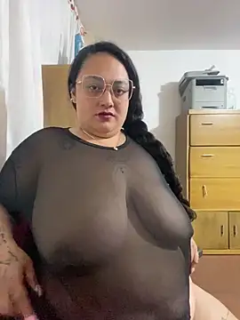 AvaRyd webcam