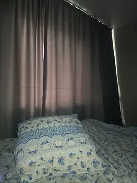 Hopefully_ webcam