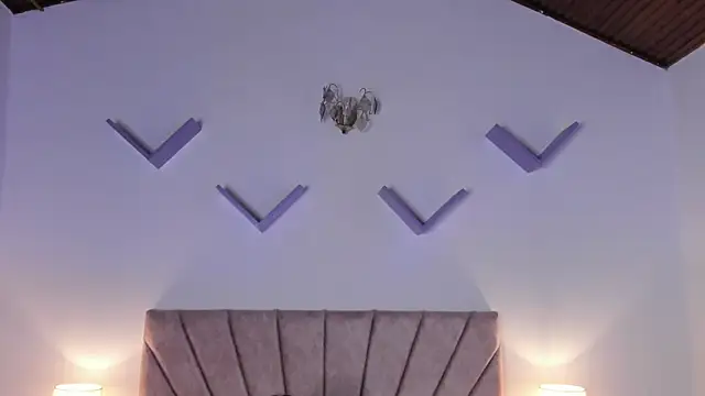Rylle18_ webcam