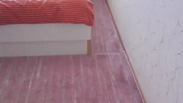 svvs27 webcam