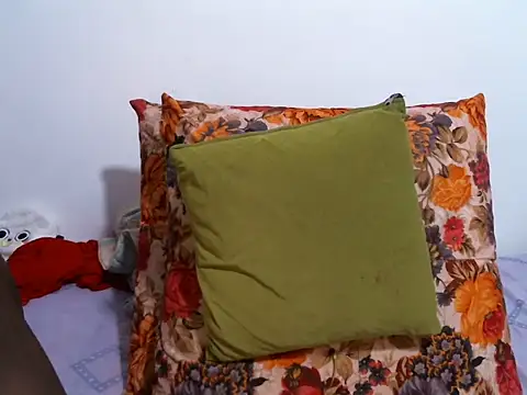 EnchantedVee webcam