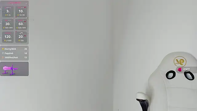 reshi_hevss webcam