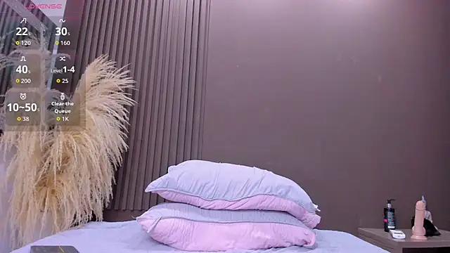 drako18_ webcam