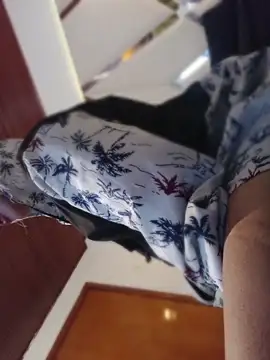 MeelFox webcam