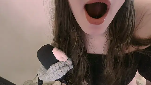 RoasHouren webcam