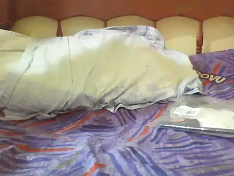 StarFlare20 webcam