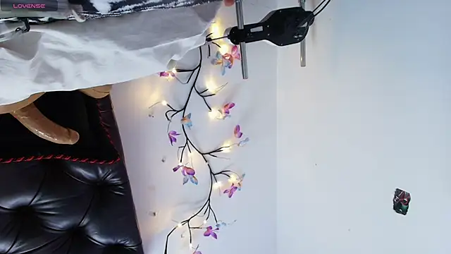 hannnasmith webcam
