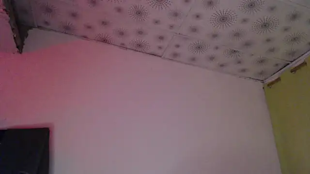 hares_mds webcam