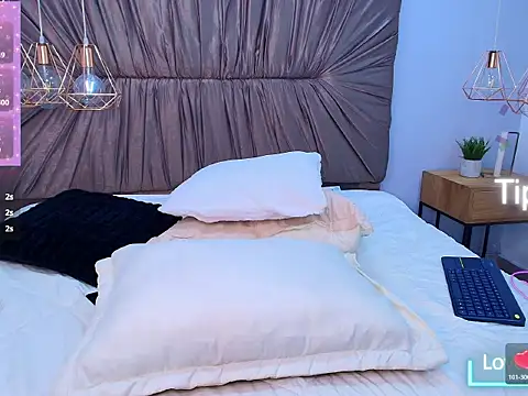 Dakashyten webcam