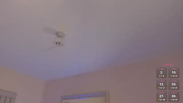 Saekohofman webcam
