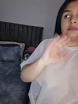 volleta webcam