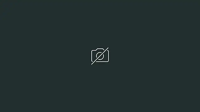 CeriseLapine webcam
