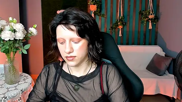 LidaDarknet webcam