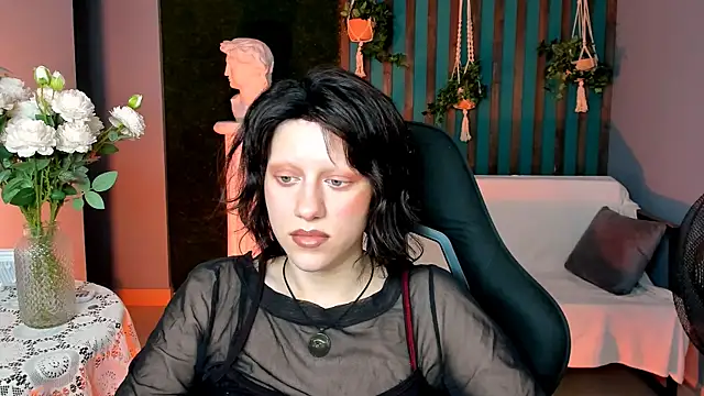 LidaDarknet webcam