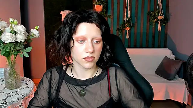 LidaDarknet webcam