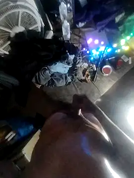 destroassbig2 webcam