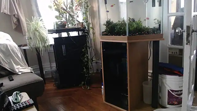 EspanolVato webcam