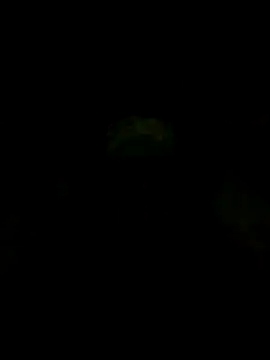 S7LEALTADPERVLIMA7 webcam
