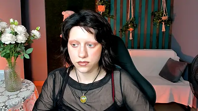 LidaDarknet webcam