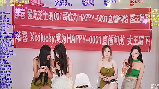 HAPPY-0001 webcam