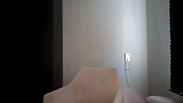 avajade webcam