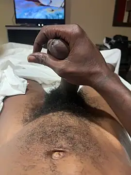 bluedolphindick