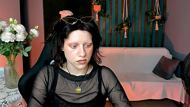 LidaDarknet webcam