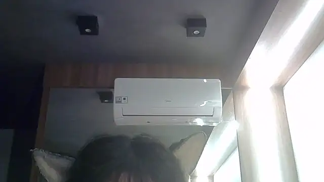 SkinnyKitten webcam