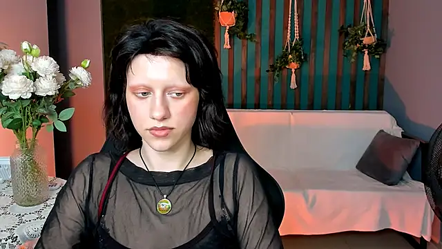 LidaDarknet webcam