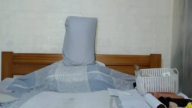 awild_kitten webcam