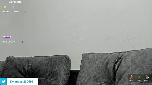 Dylan_Best webcam